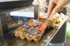 Grelhadores Vulcanus Grill