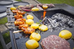 Grelhadores Vulcanus Grill