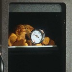 Salamandra a Lenha Nordica - Fulvia Forno - detalhe 3